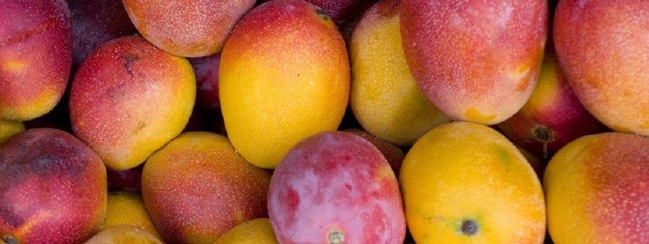 Найкращі свіжі сорти манго, вироблені в Єгипті